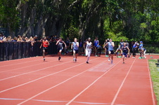 Enlarge photo 295
