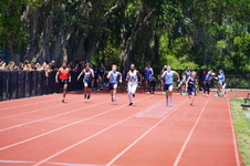 Enlarge photo 294