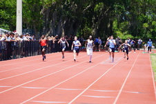 Enlarge photo 296