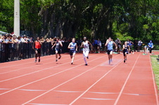 Enlarge photo 297