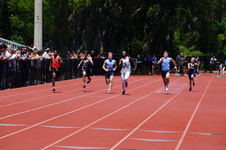 Enlarge photo 299