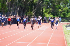 Enlarge photo 300