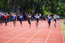 Enlarge photo 304