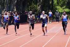 Enlarge photo 303