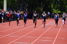 Enlarge photo 305