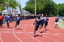 Enlarge photo 316
