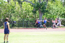 Enlarge photo 390