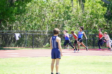 Enlarge photo 393