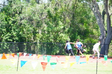 Enlarge photo 399