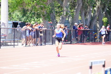 Enlarge photo 419