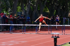 Enlarge photo 482