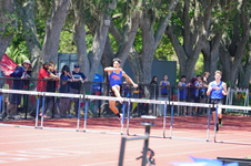 Enlarge photo 511