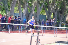 Enlarge photo 516