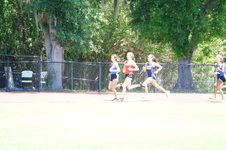 Enlarge photo 545