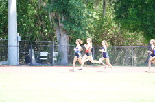 Enlarge photo 546