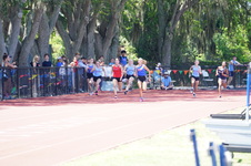 Enlarge photo 585