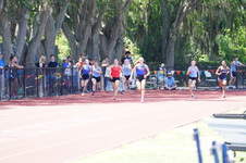 Enlarge photo 586