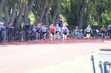 Enlarge photo 587