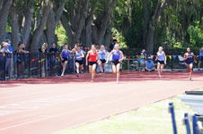 Enlarge photo 589