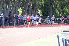 Enlarge photo 588