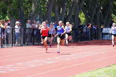 Enlarge photo 594