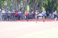 Enlarge photo 606