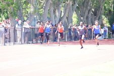 Enlarge photo 610