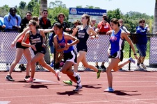 Enlarge photo 702
