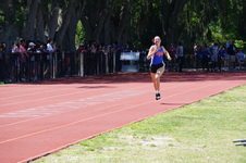 Enlarge photo 726