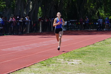 Enlarge photo 729