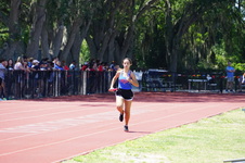 Enlarge photo 744