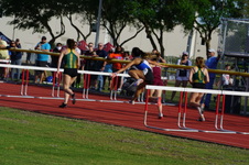 Enlarge photo 132