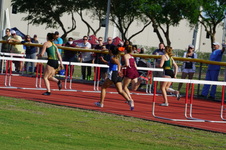 Enlarge photo 133