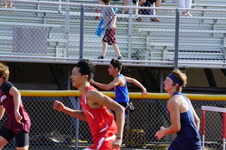 Enlarge photo 166