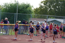 Enlarge photo 176