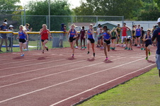 Enlarge photo 205