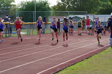 Enlarge photo 209