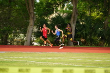Enlarge photo 327
