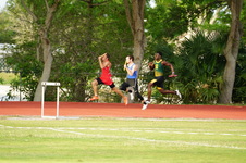Enlarge photo 328