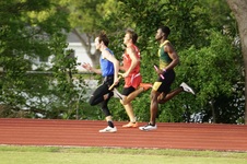 Enlarge photo 334