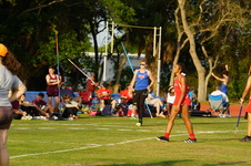 Enlarge photo 390