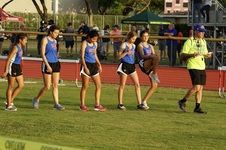 Enlarge photo 427