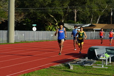 Enlarge photo 229