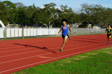 Enlarge photo 236