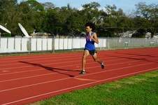 Enlarge photo 238