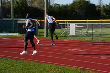 Enlarge photo 255