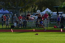 Enlarge photo 258