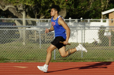 Enlarge photo 294
