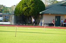Enlarge photo 306