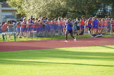Enlarge photo 310